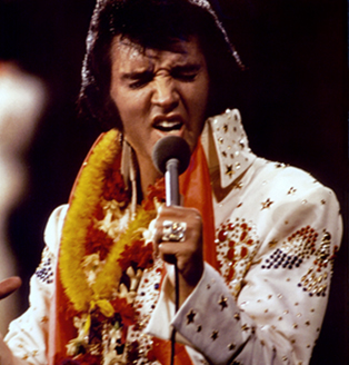image-8122439-20_Elvis_Presley.jpg
